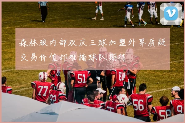 森林狼内部欢庆三球加盟外界质疑交易价值却难掩球队期待